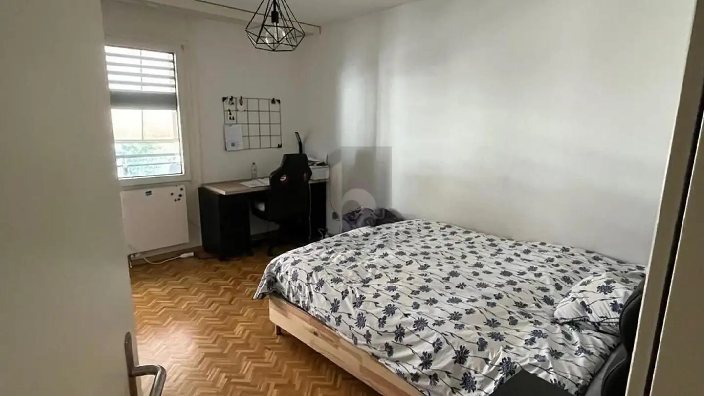 Attic flat for rent - 1227 Carouge GE - Photo 4