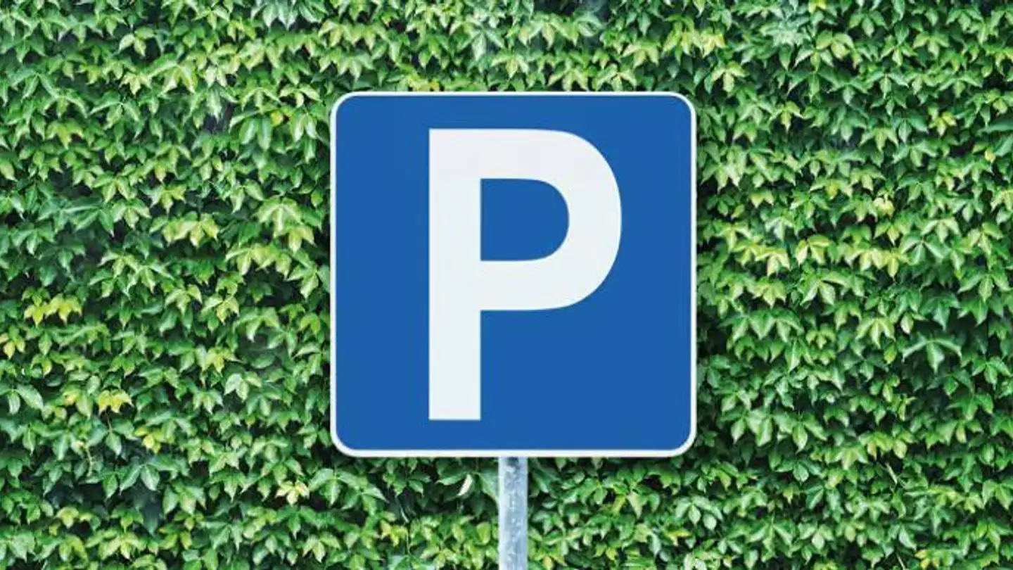 Outdoor parking space for rent - Holzmoosrütistrasse 44, 8820 Wädenswil
