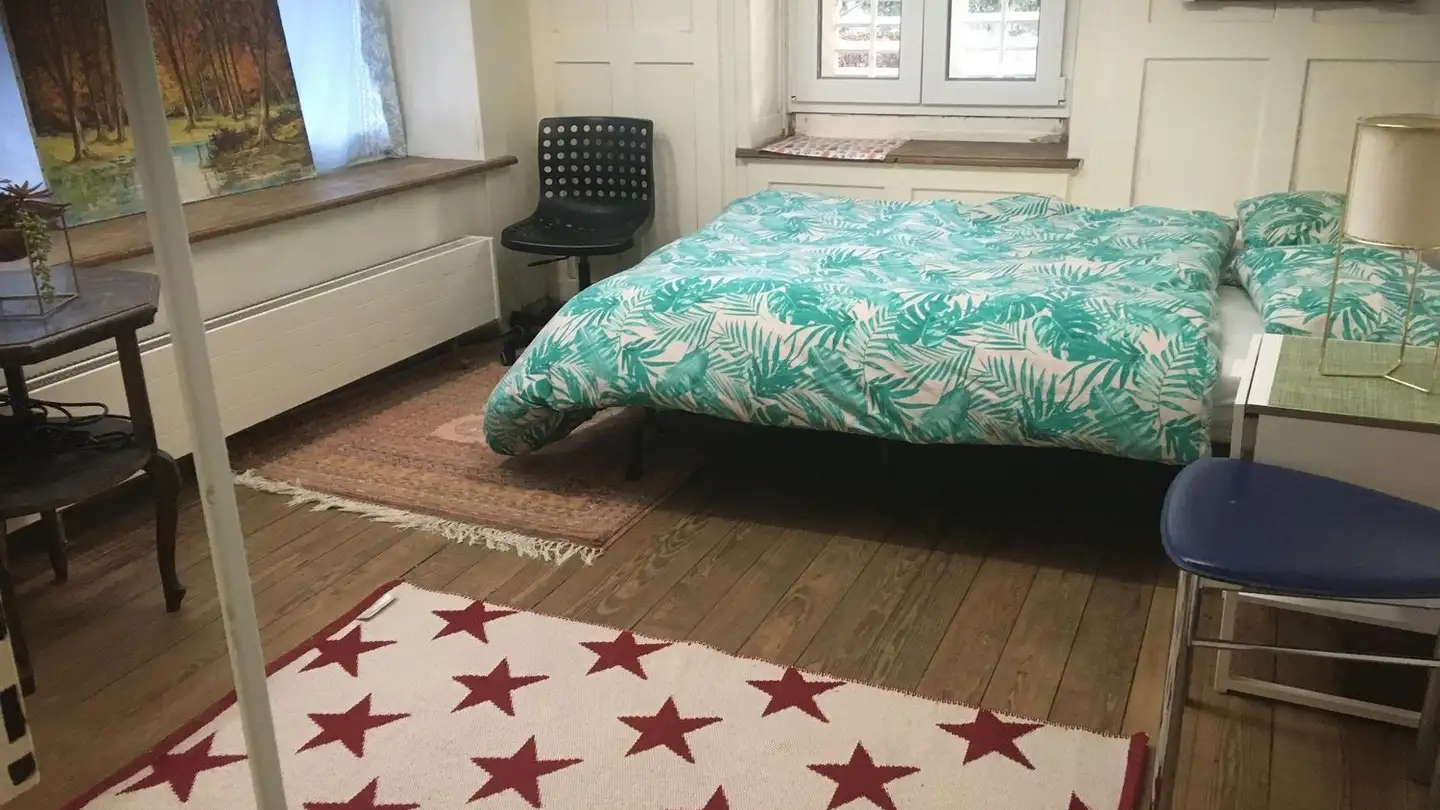 Single room for rent - 8008 Zürich