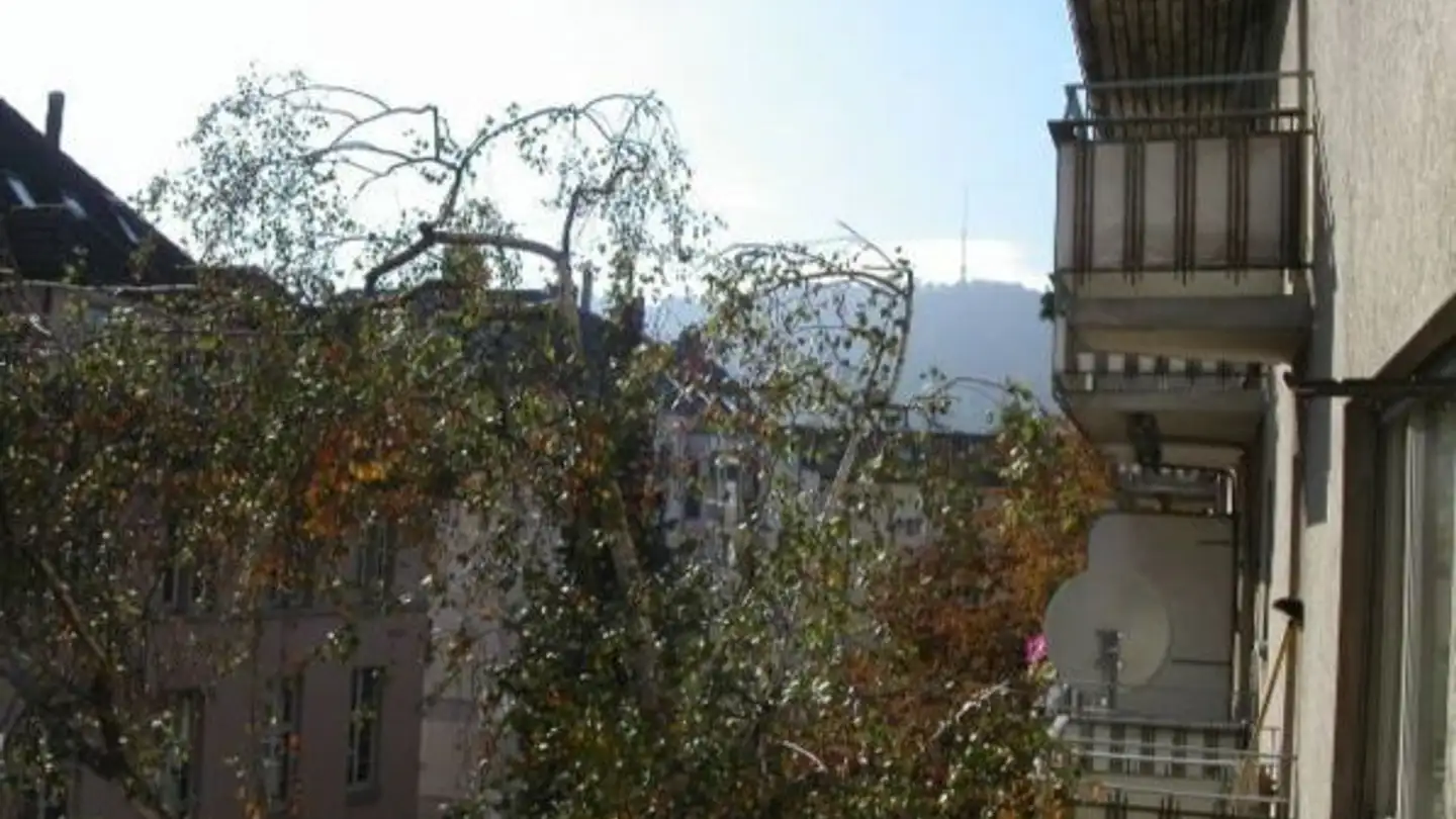 Studio for rent - Eibenstrasse 6, 8045 Zürich - Photo 4