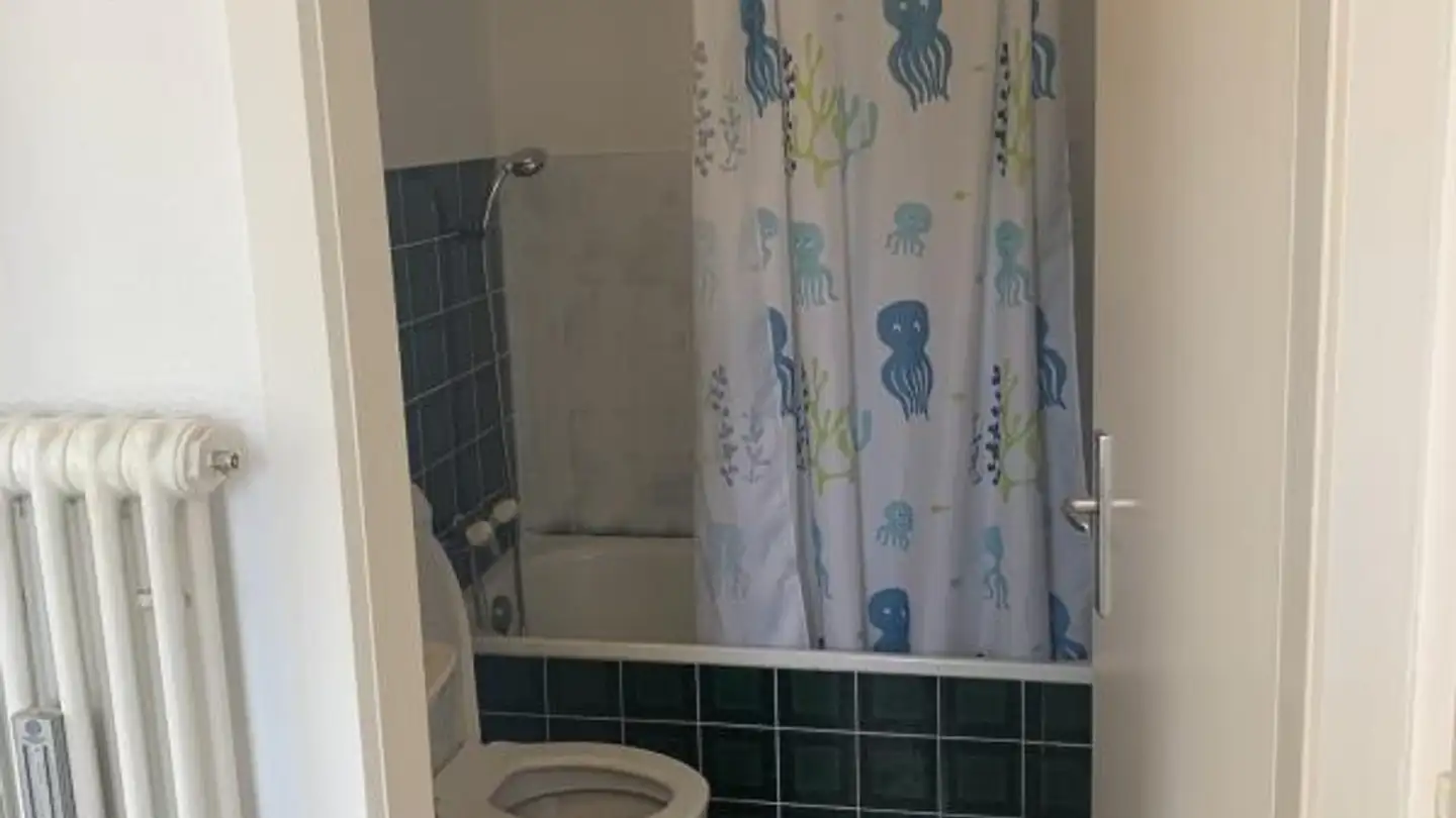 Appartamento in affitto - Wildeggstrasse 18, 9000 St. Gallen - Foto 4