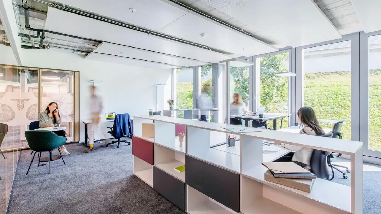 Office space for rent - Maneggstrasse 33, 8041 Zürich - Photo 3