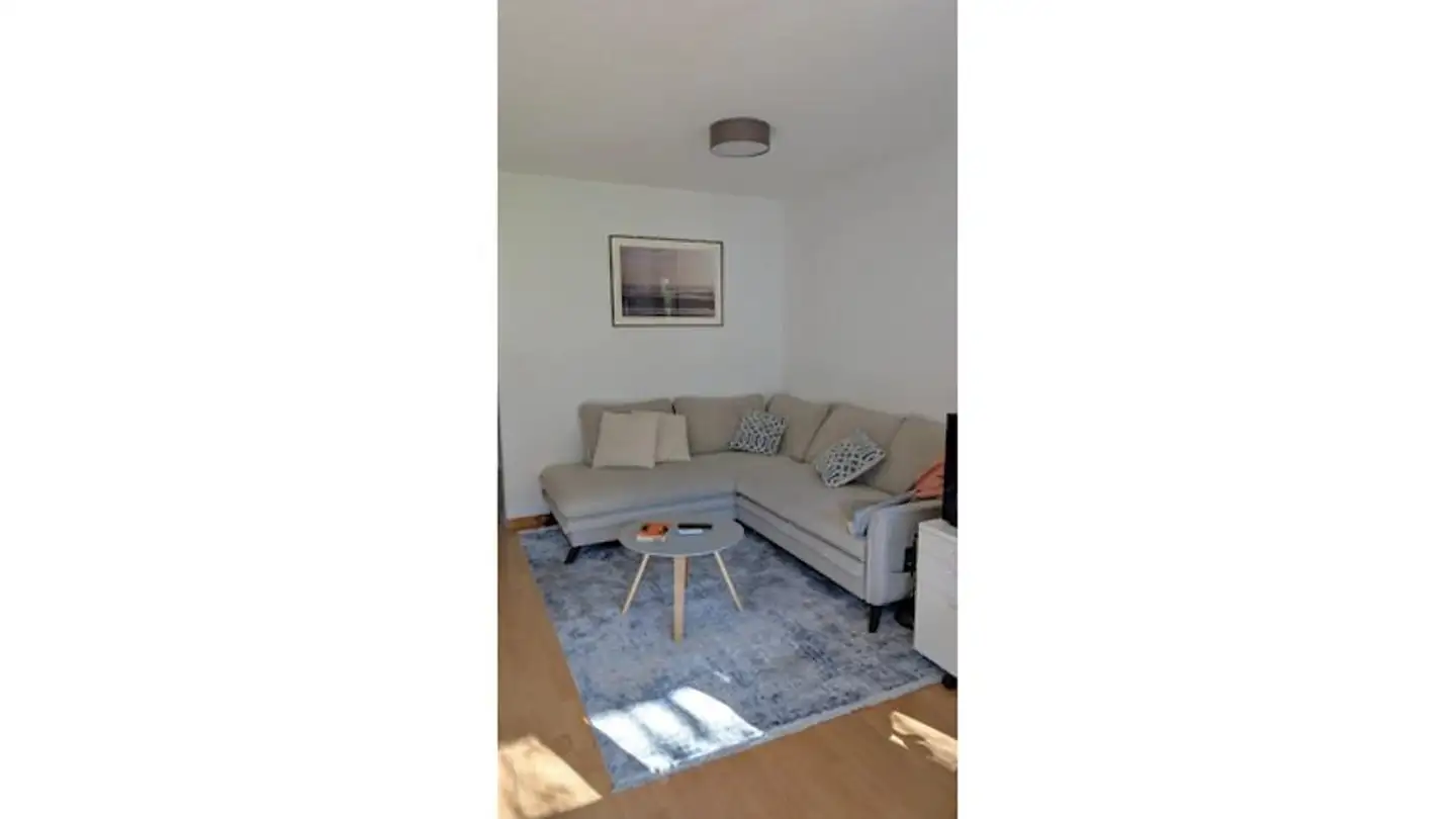 Furnished apartment for rent - 8134 Adliswil - Photo 2