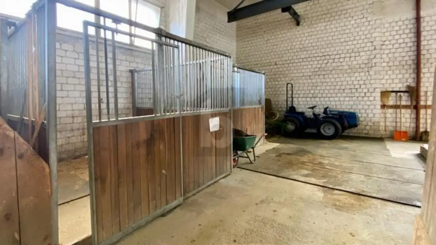 Industrial property for sale - 7166 Trun - Photo 3