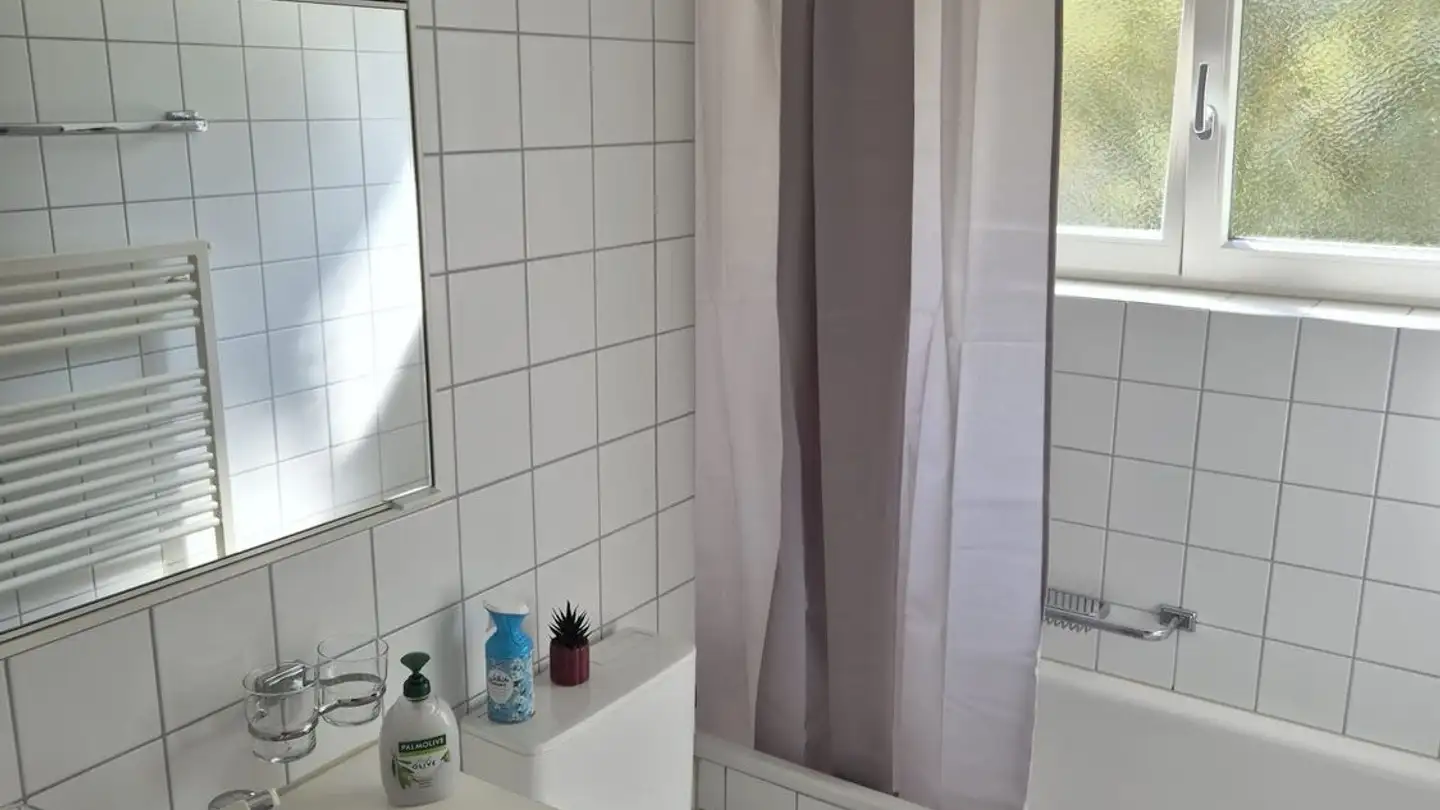 Chambre à louer - 8048 Zürich - Photo 4