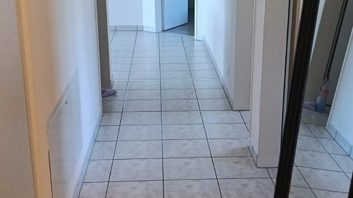 Appartement à louer - Leebernstrasse 1, 5646 Abtwil AG - Photo 4