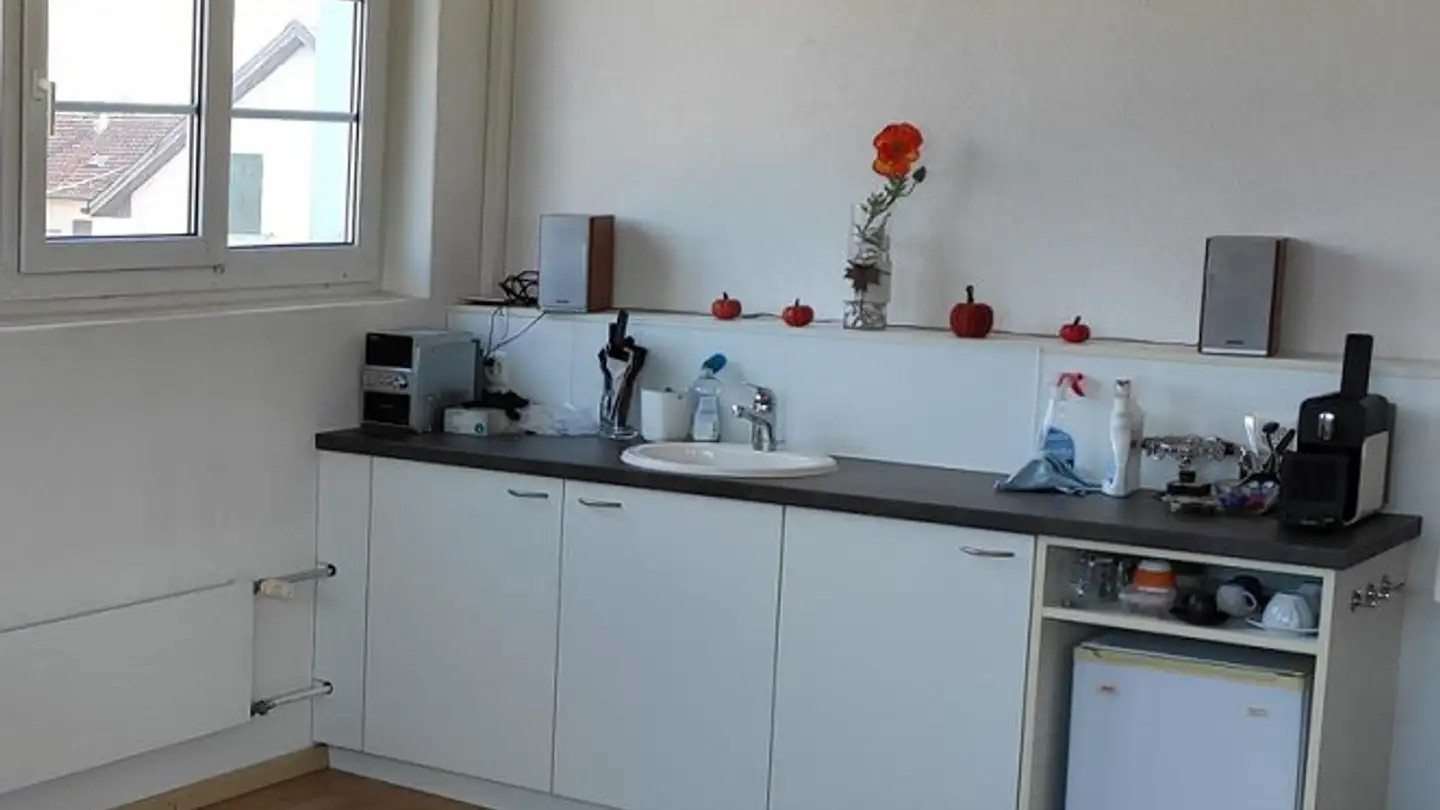Commerciale in affitto - Zürcherstrasse 33a, 8854 Siebnen - Photo 4