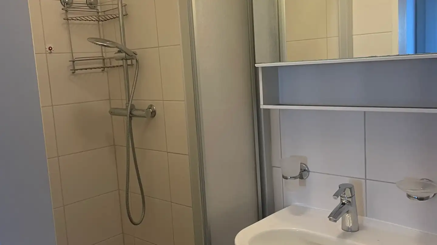 Apartment for rent - Rue Des Alpes 51, 1580 Avenches - Photo 4
