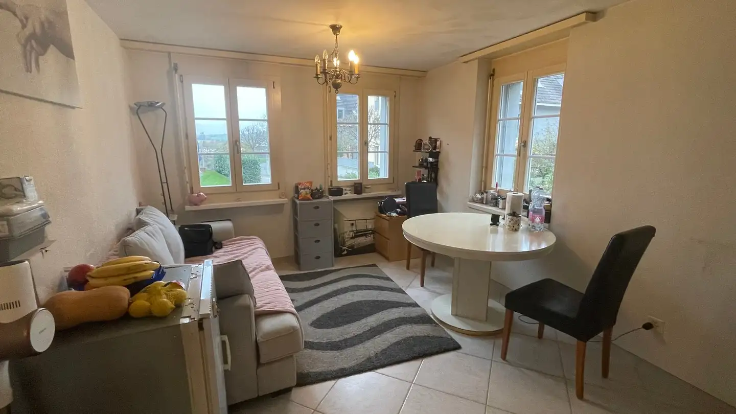 Edificio residenziale in vendita - Wilerstrasse 22, 8193 Eglisau - Photo 3