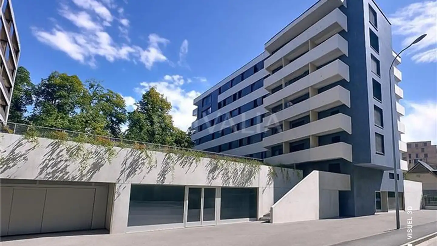 Gewerbe mieten - 1208 Genève