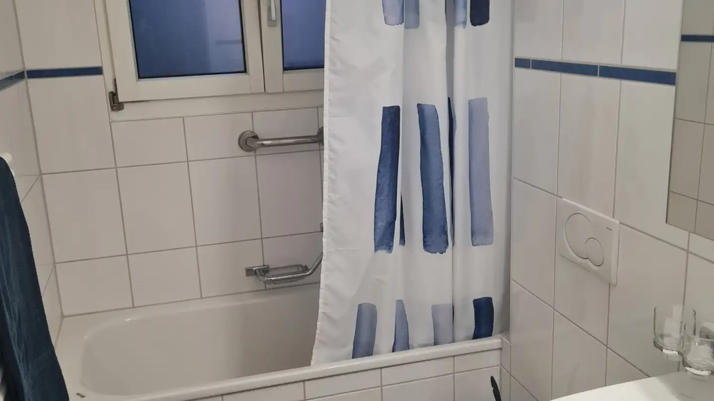 Appartamento in affitto - 4102 Binningen - Foto 3