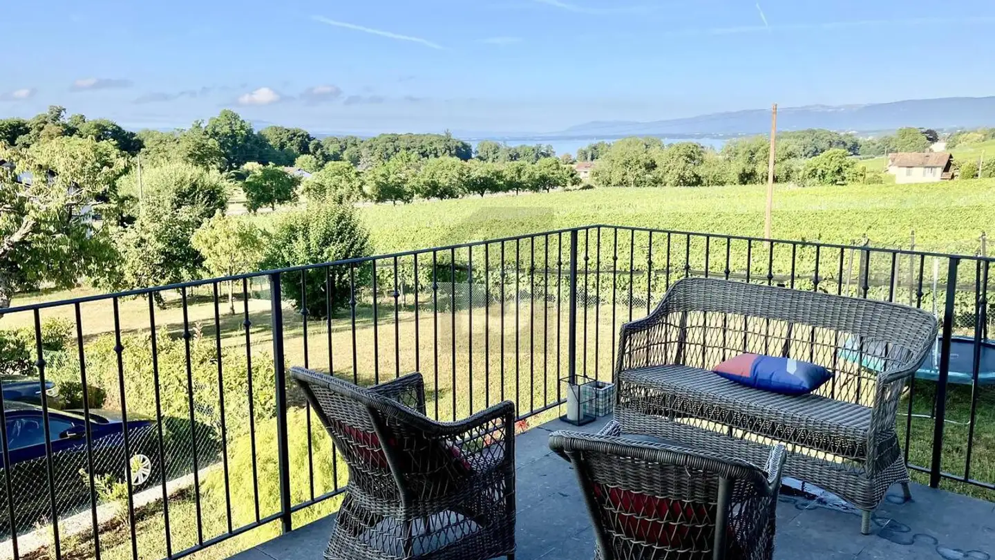 Cave house for rent - 1165 Allaman - Photo 4