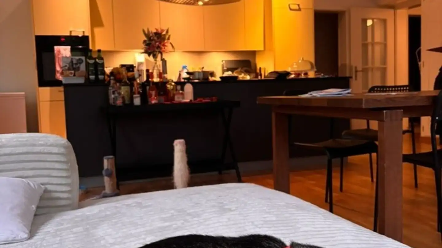 Chambre à louer - Sandrainstrasse 68, 3007 Bern - Photo 4