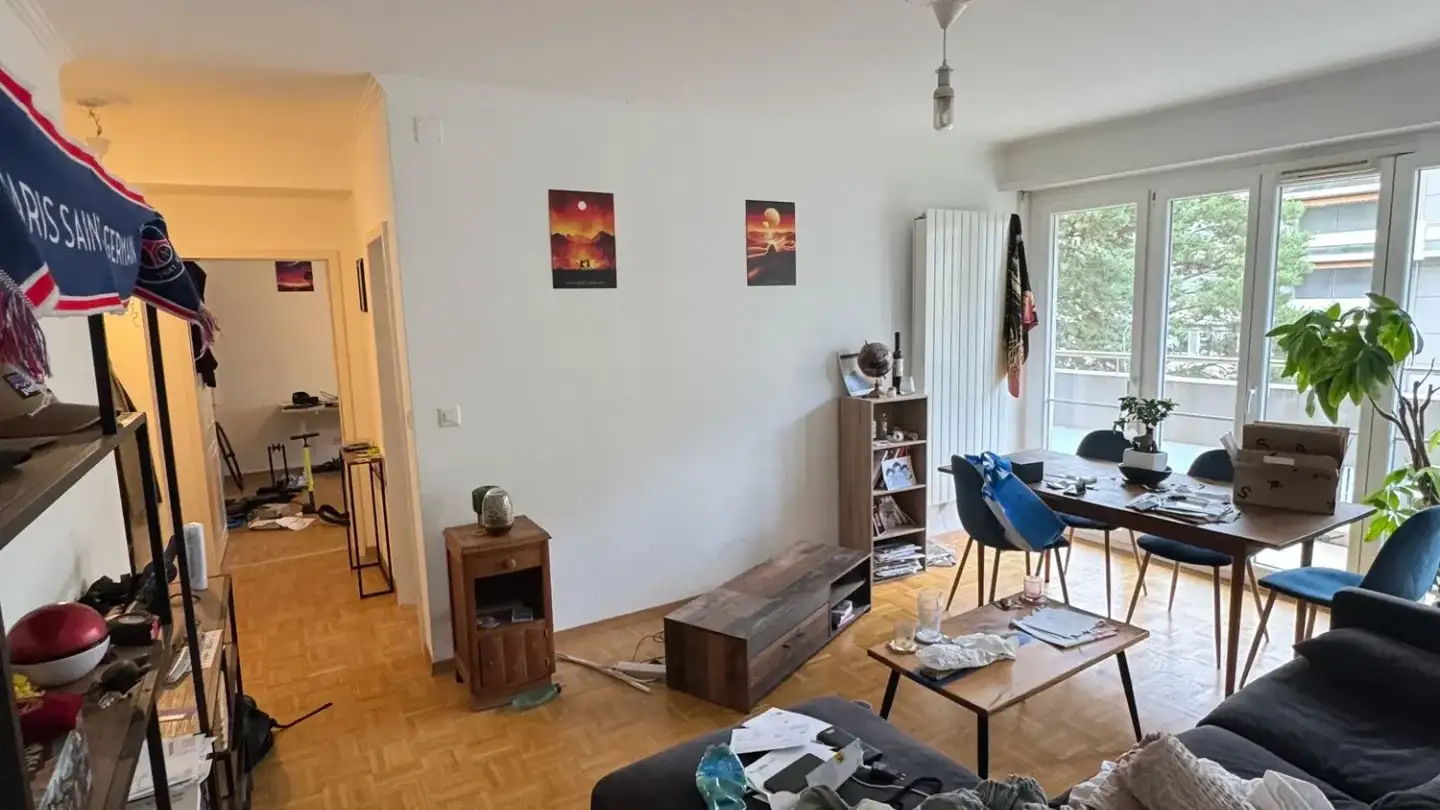 Wohnung mieten - Chemin Des Crêts-De-Champel 31, 1206 Genève