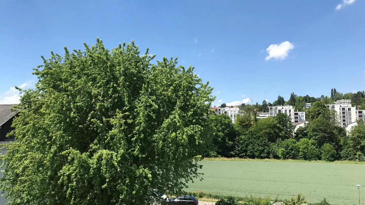 Attico in affitto - Im Wasen 9, 4104 Oberwil BL - Foto 3