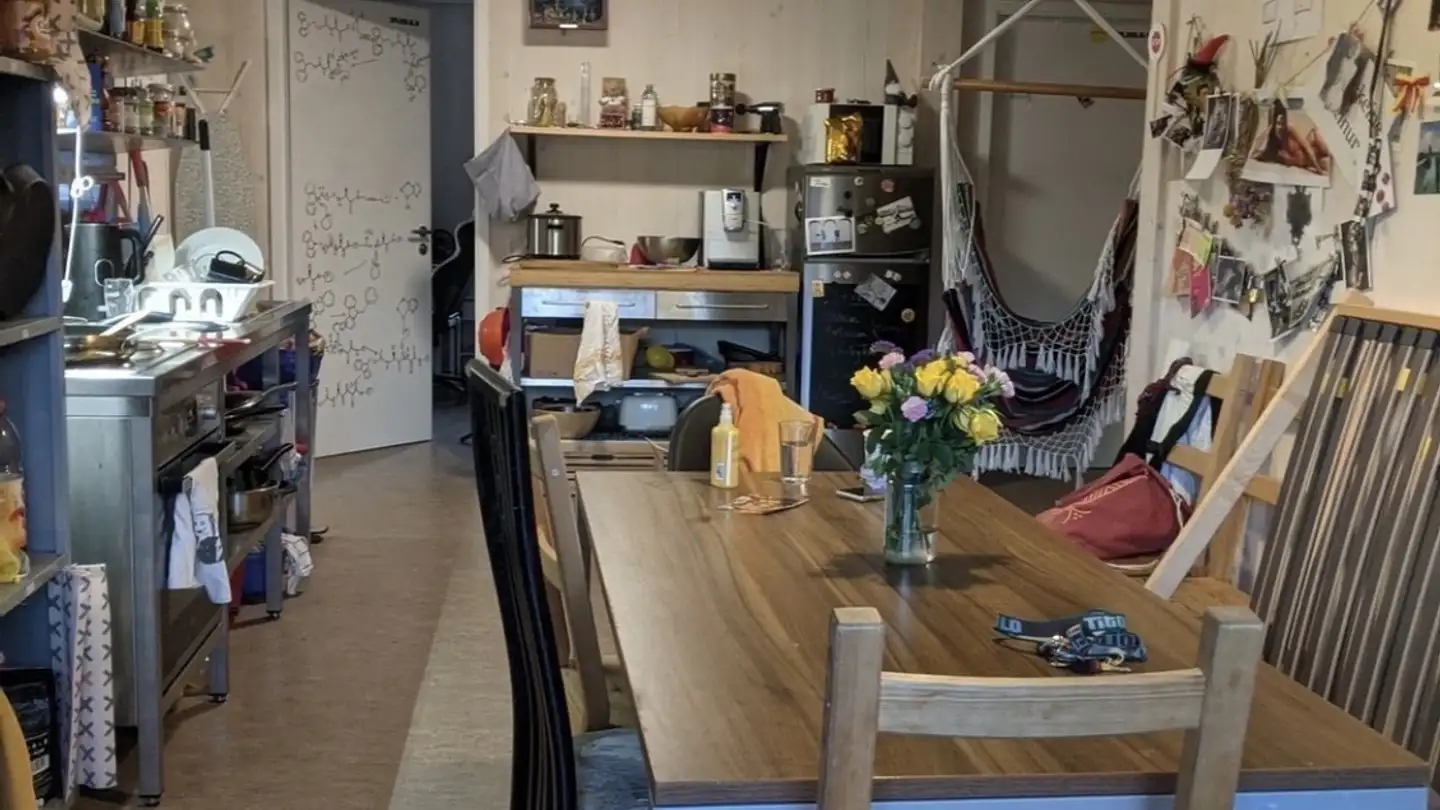 Chambre à louer - Geerenweg 14, 8048 Zürich