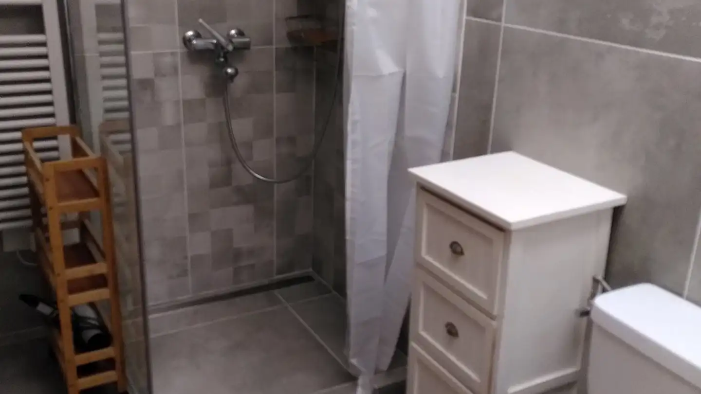 Apartment for rent - Route Du Botza 58, 1911 Ovronnaz - Photo 4