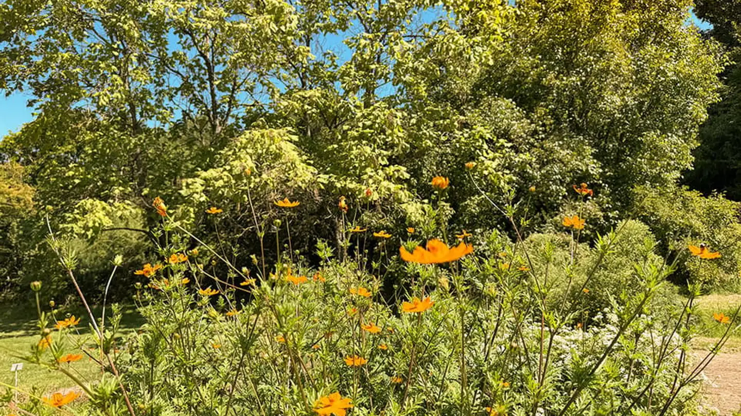 Maison individuelle à vendre - 1304 Cossonay-Ville - Photo 2