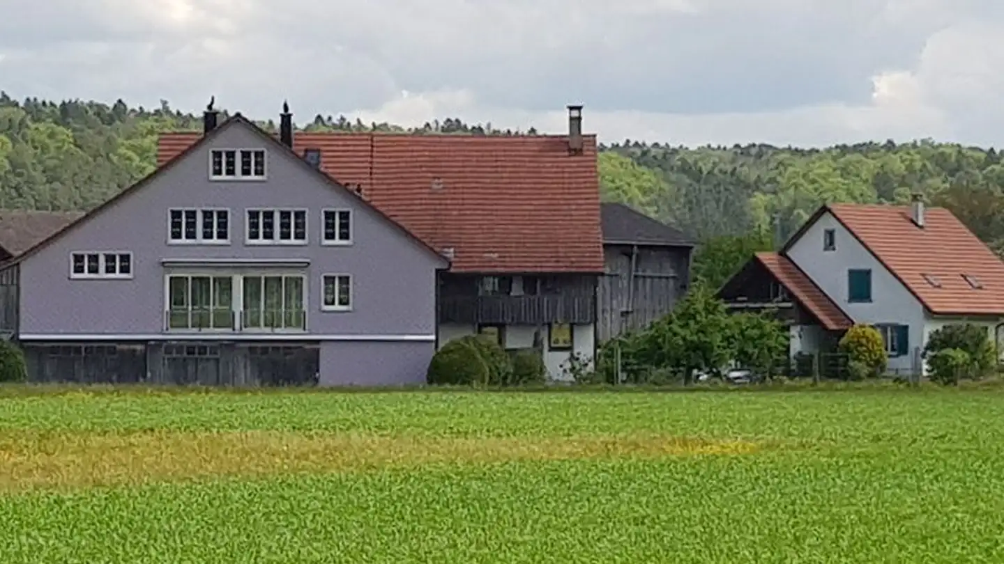 Casa bifamiliare in affitto - Salenwegstrasse 10, 8459 Volken - Photo 2