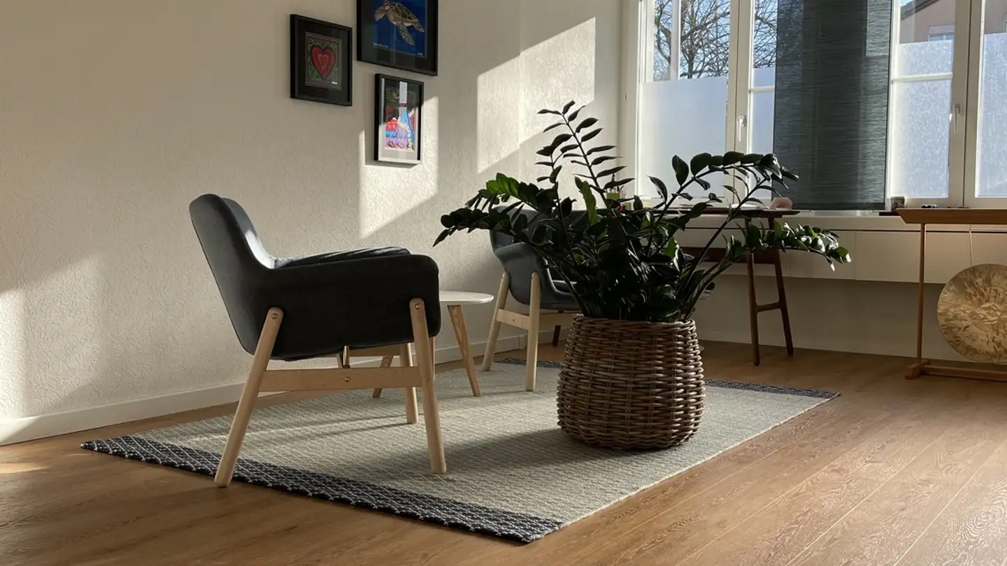 Gewerbe mieten - Sonnenbergstrasse 41, 8603 Schwerzenbach