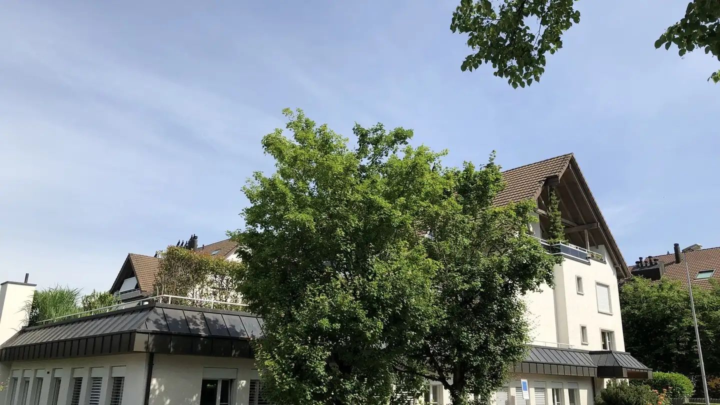 Commerciale in affitto - Sonnenbergstrasse 41, 8603 Schwerzenbach - Photo 4