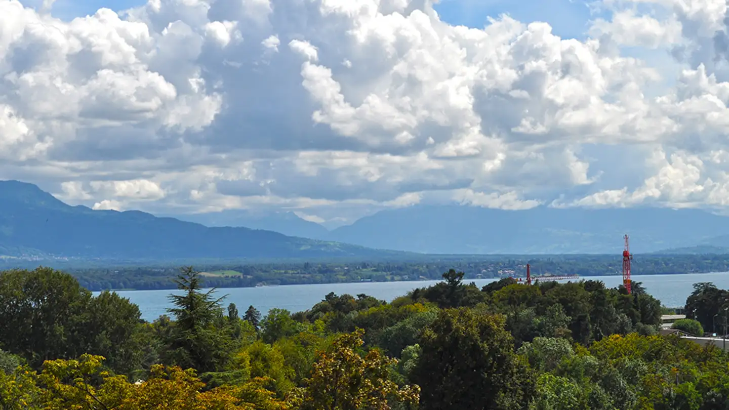 Appartamento in vendita - 1260 Nyon