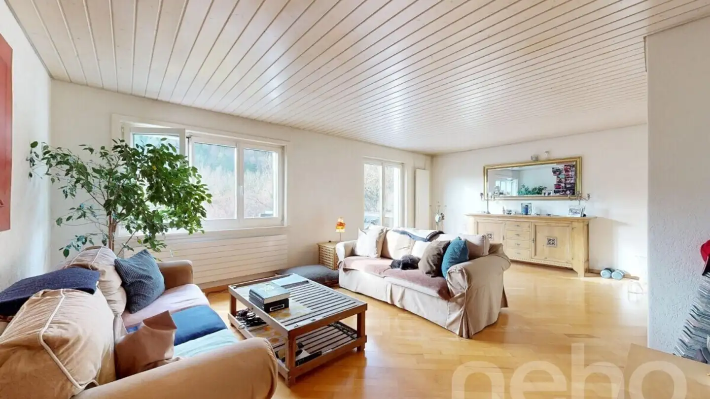 Cave house for sale - 8200 Schaffhausen - Photo 4