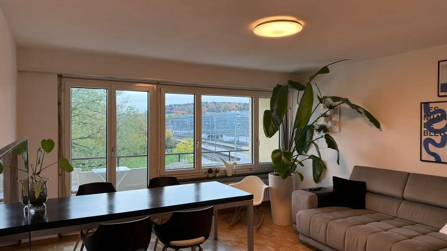 Appartamento in affitto - 8953 Dietikon