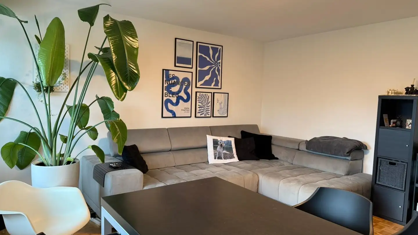 Appartamento in affitto - Buchsackerstrasse, 8953 Dietikon - Photo 2