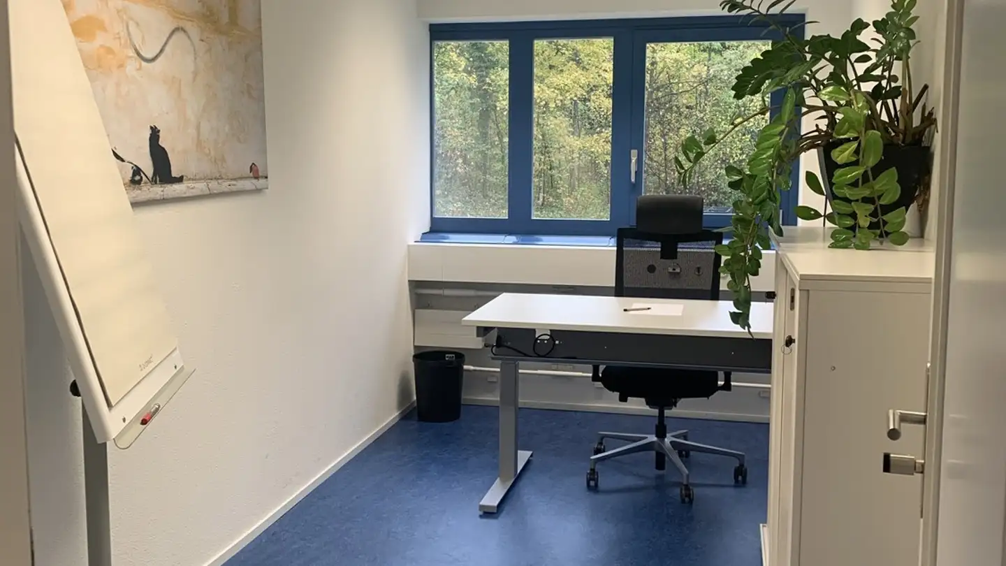 Bürofläche mieten - Bönirainstrasse 14, 8800 Thalwil