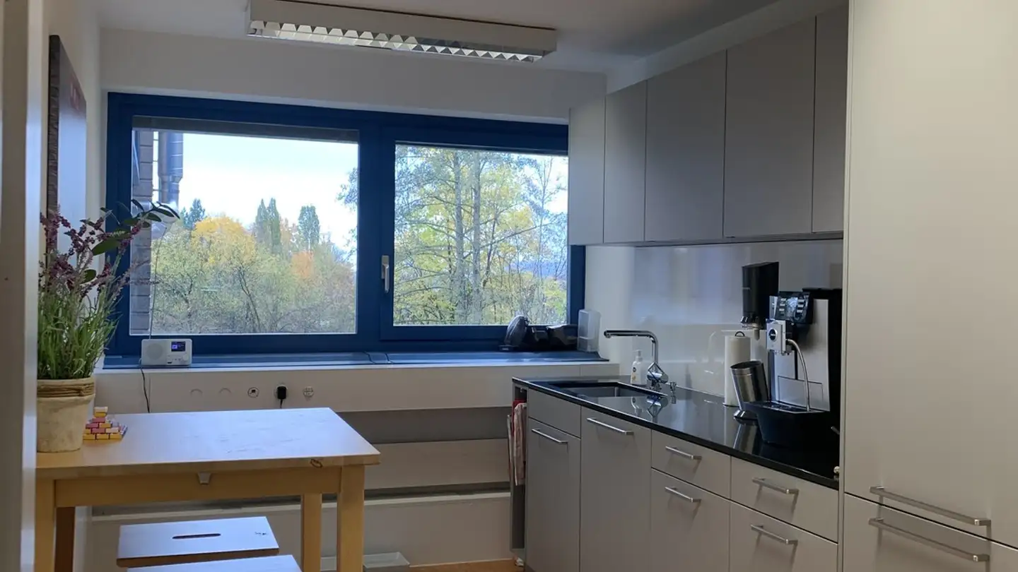 Office space for rent - Bönirainstrasse 14, 8800 Thalwil - Photo 4