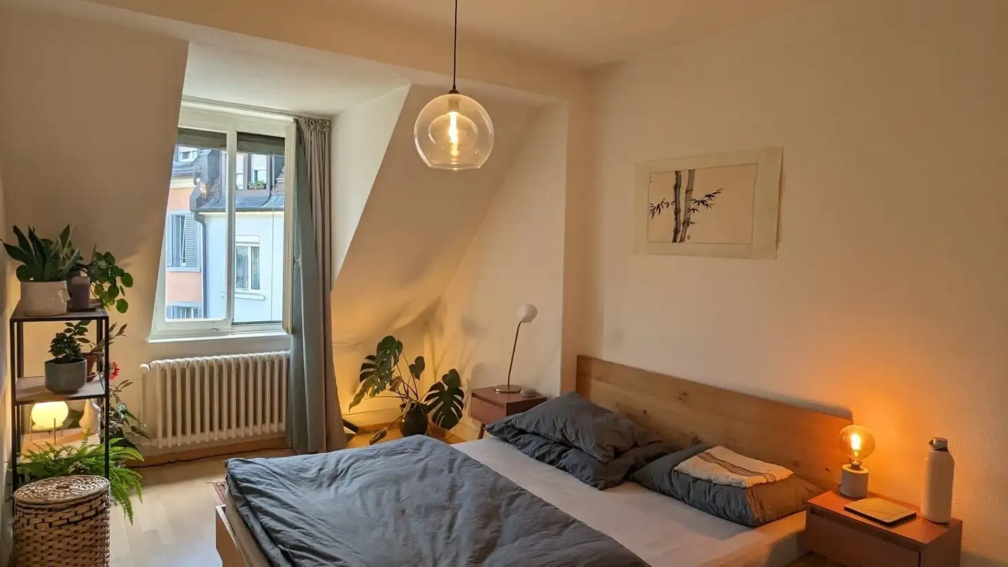 Möblierte Wohnung mieten - Birmensdorferstrasse 257, 8055 Zürich