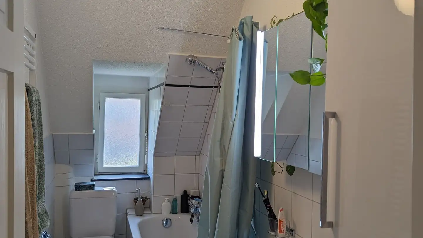 Möblierte Wohnung mieten - Birmensdorferstrasse 257, 8055 Zürich - Foto 4