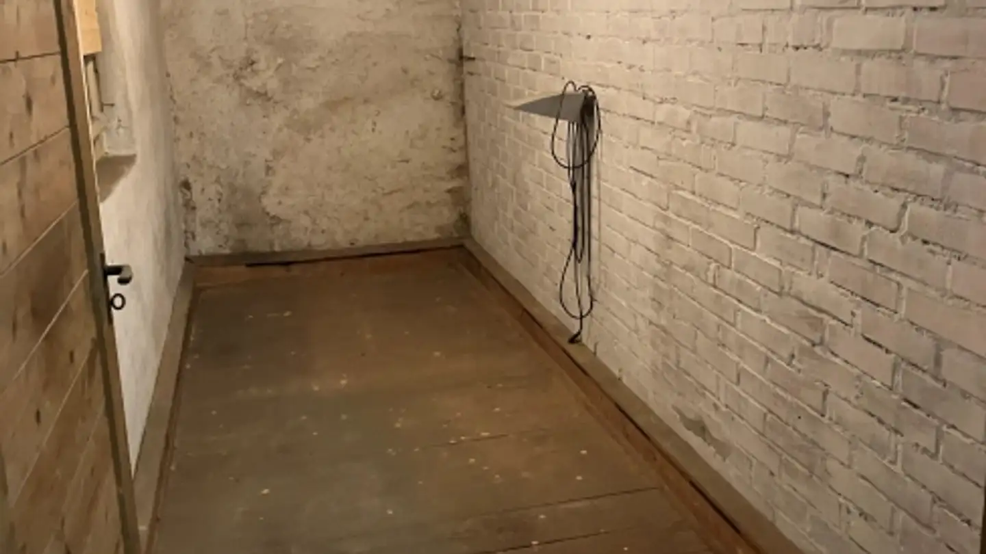 Commerciale in affitto - Zürichstrasse 13b, 8607 Aathal-Seegräben - Photo 4