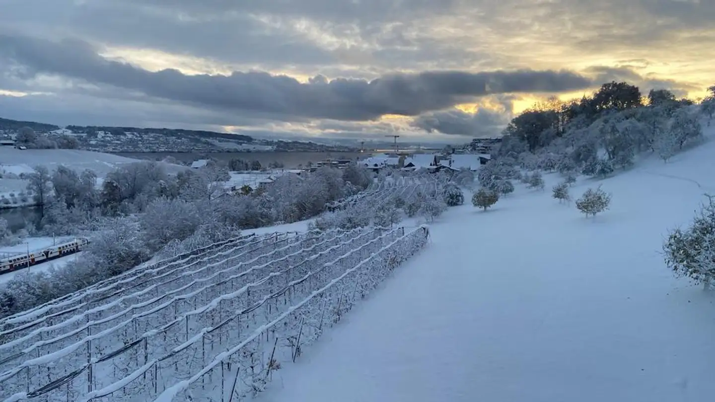 Wohnung mieten - Alte Landstrasse 93, 8804 Au ZH - Foto 2