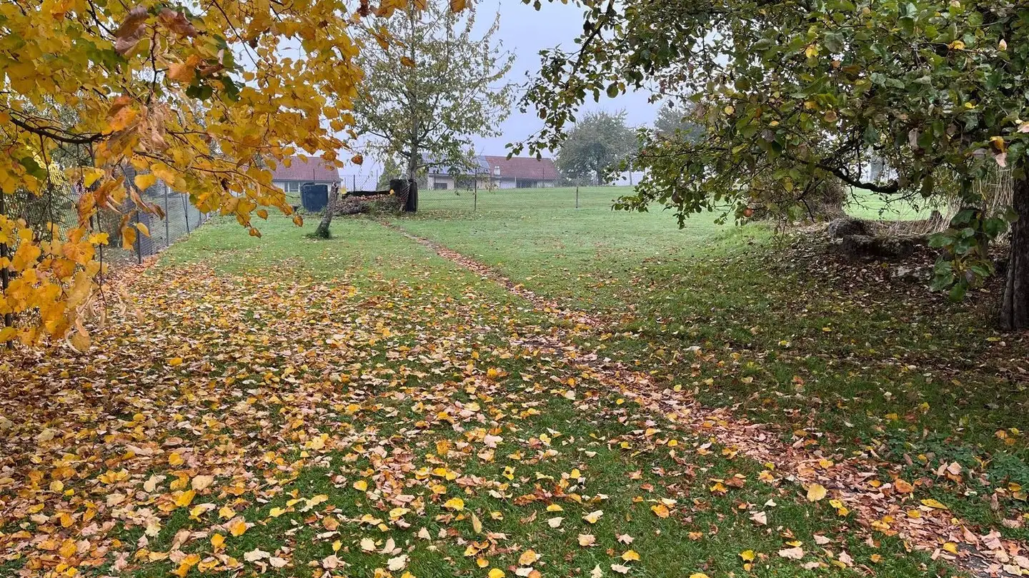 Terreno edificabile in vendita - Aebnitstrasse 3, 3296 Arch - Photo 3