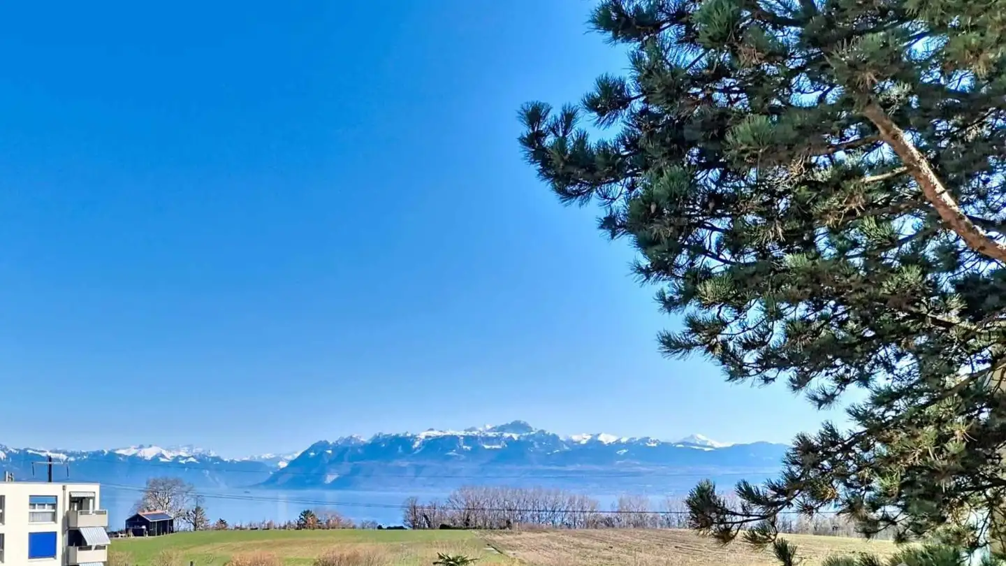 Wohnung kaufen - 1131 Tolochenaz