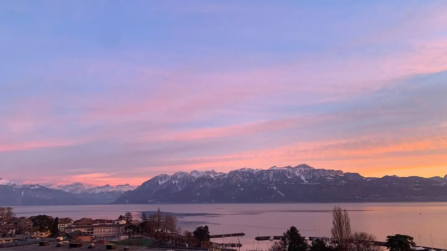 Studio à louer - Route De Taillepied 37, 1095 Lutry