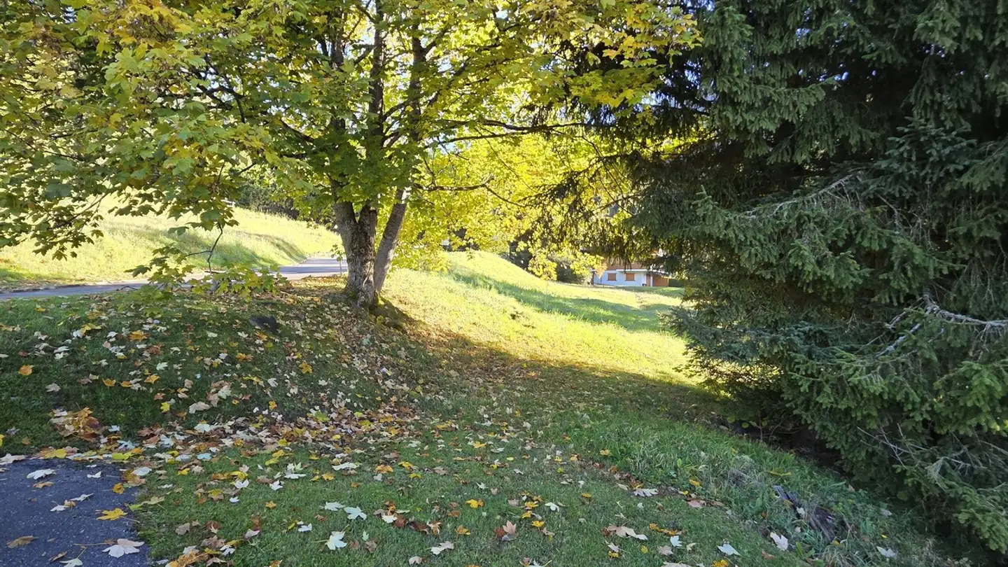 Terreno edificabile in vendita - 1884 Villars-sur-Ollon - Photo 2
