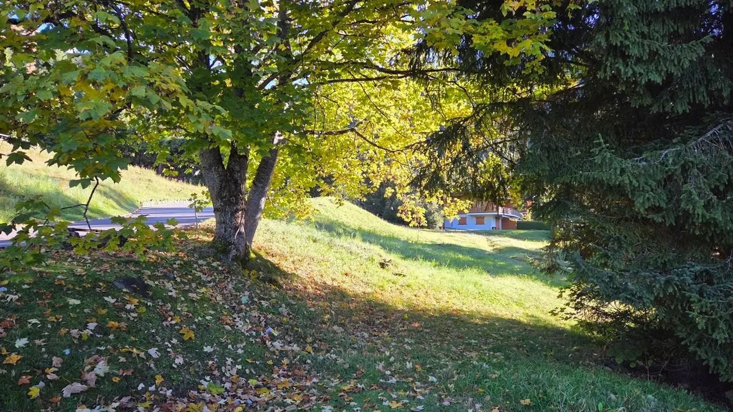 Terreno edificabile in vendita - 1884 Villars-sur-Ollon - Photo 3