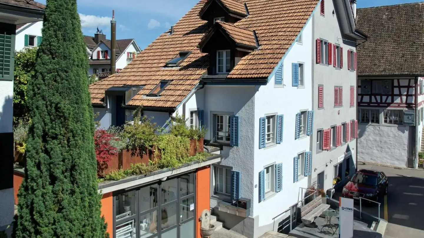 Commerciale in vendita - 8805 Richterswil - Photo 2