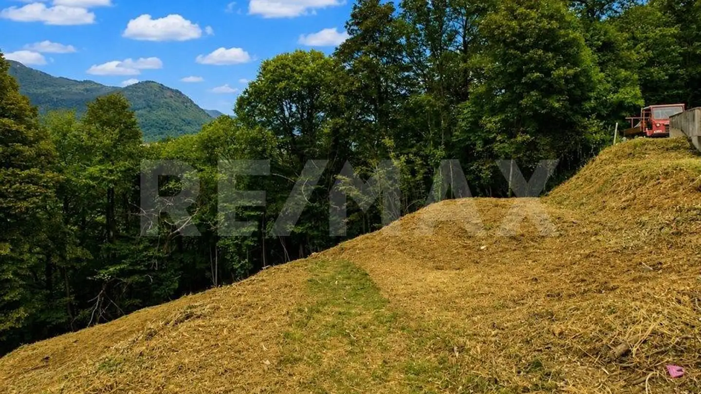 Constructible plot for sale - 6994 Aranno