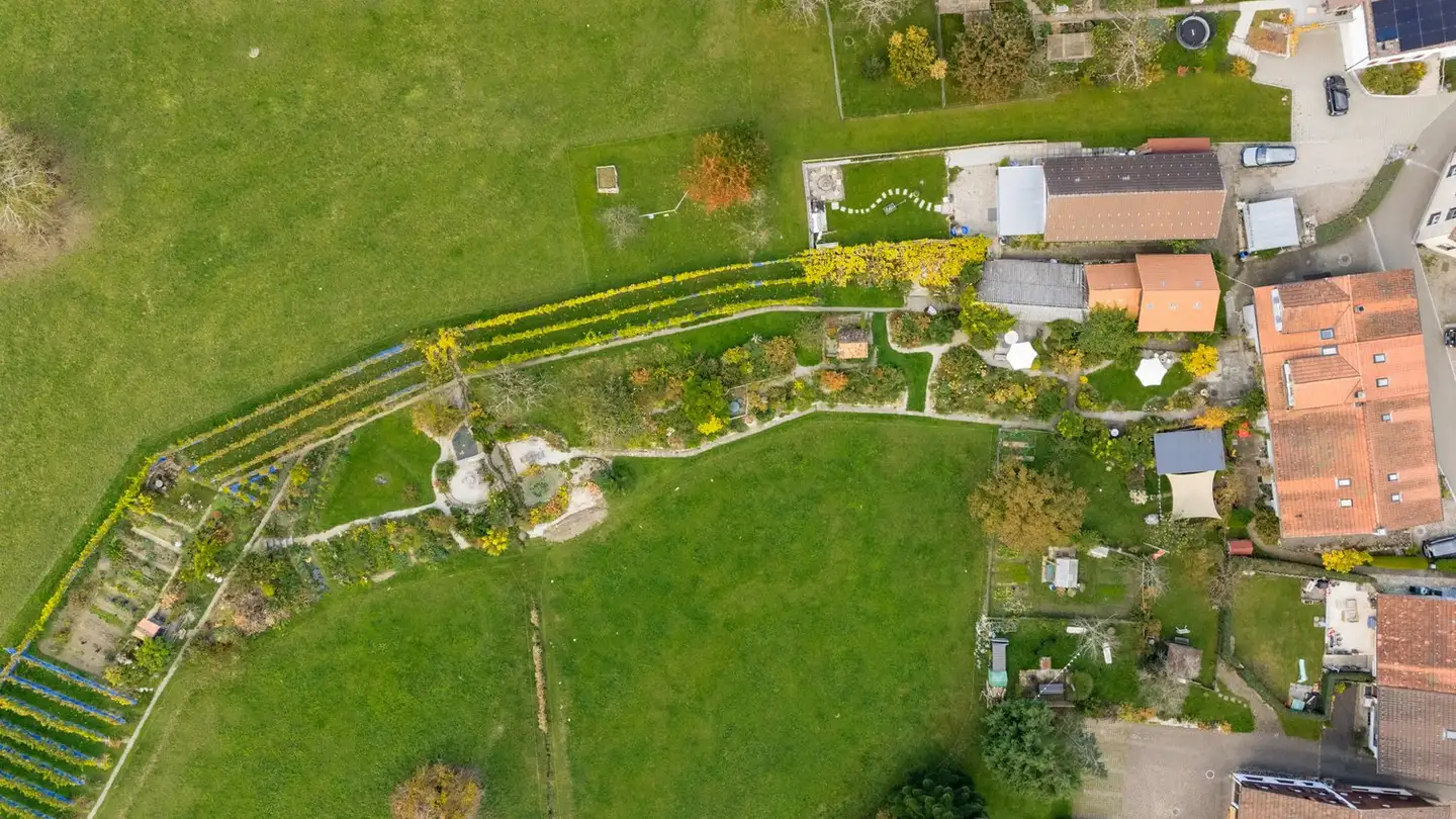 Bauland kaufen - 8345 Adetswil