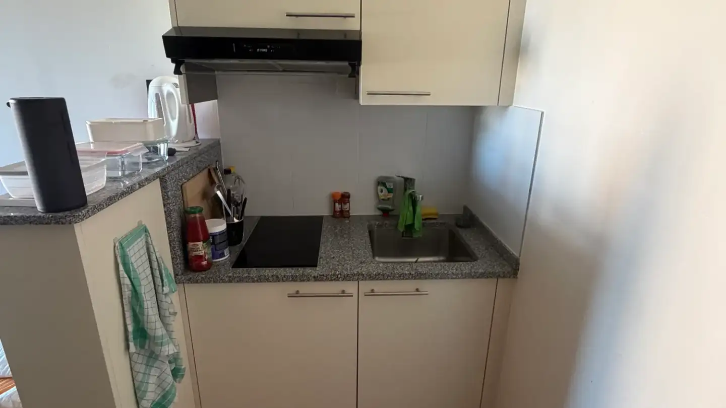 Appartamento in affitto - Avenue De Granges-Paccot 4, 1700 Fribourg - Foto 3