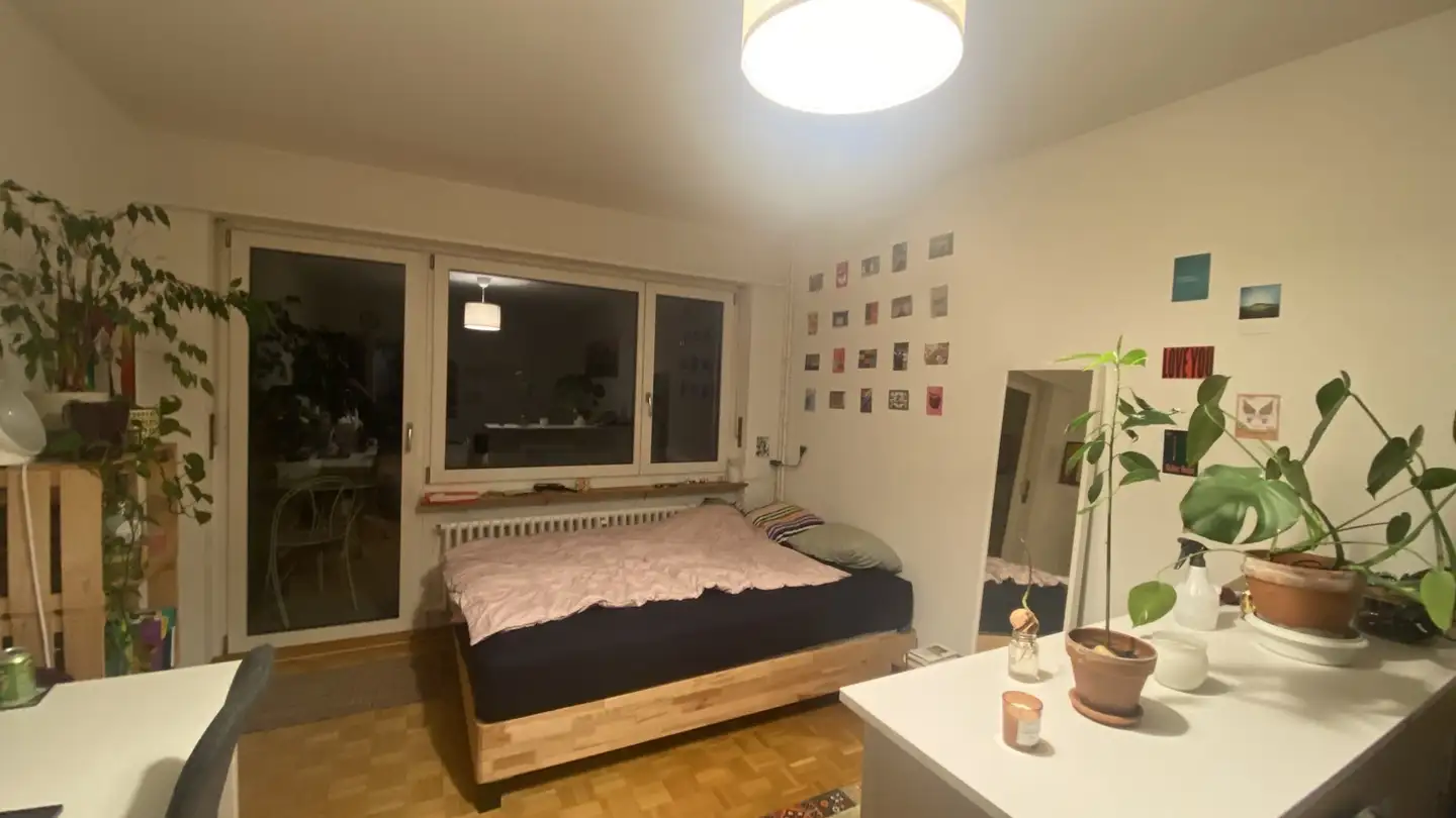 Stanza singola in affitto - 3007 Bern