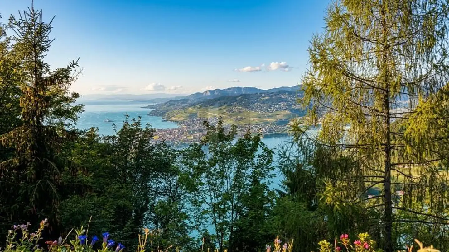 Chalet mieten - 1824 Caux