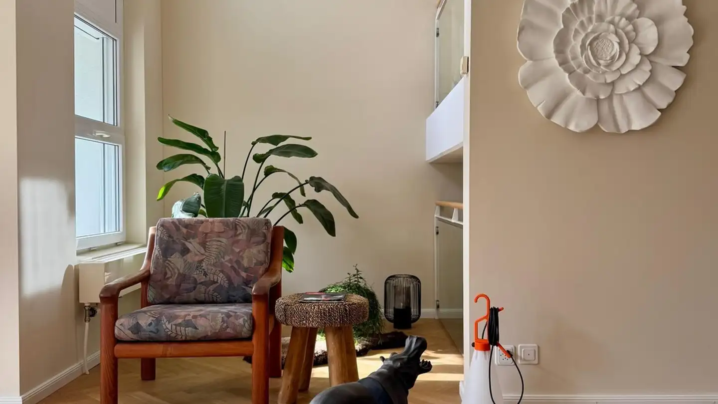 Casa singola in affitto - 8143 Stallikon - Photo 3