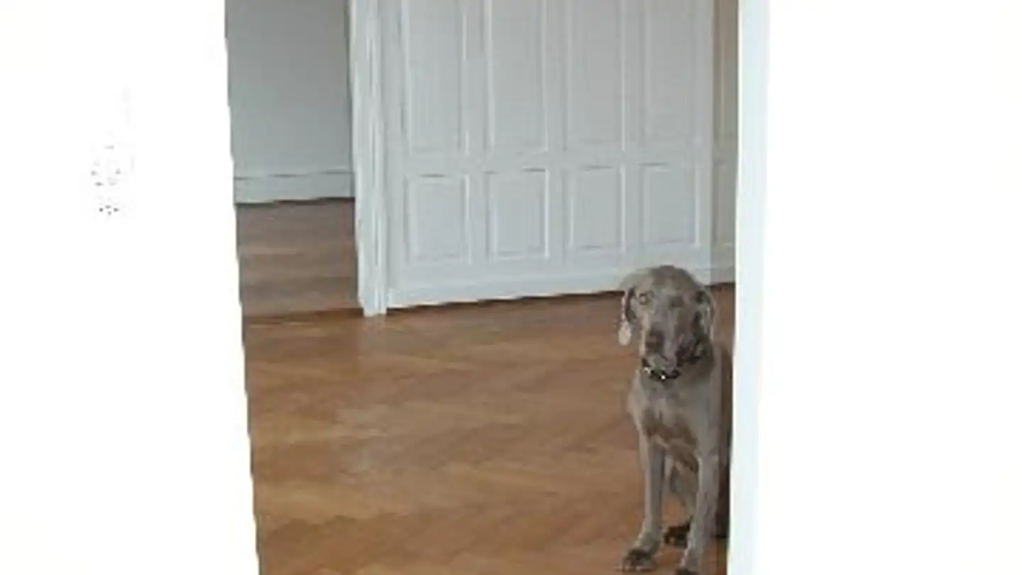 Apartment for rent - Rotachstrasse 6, 9000 St. Gallen - Photo 2