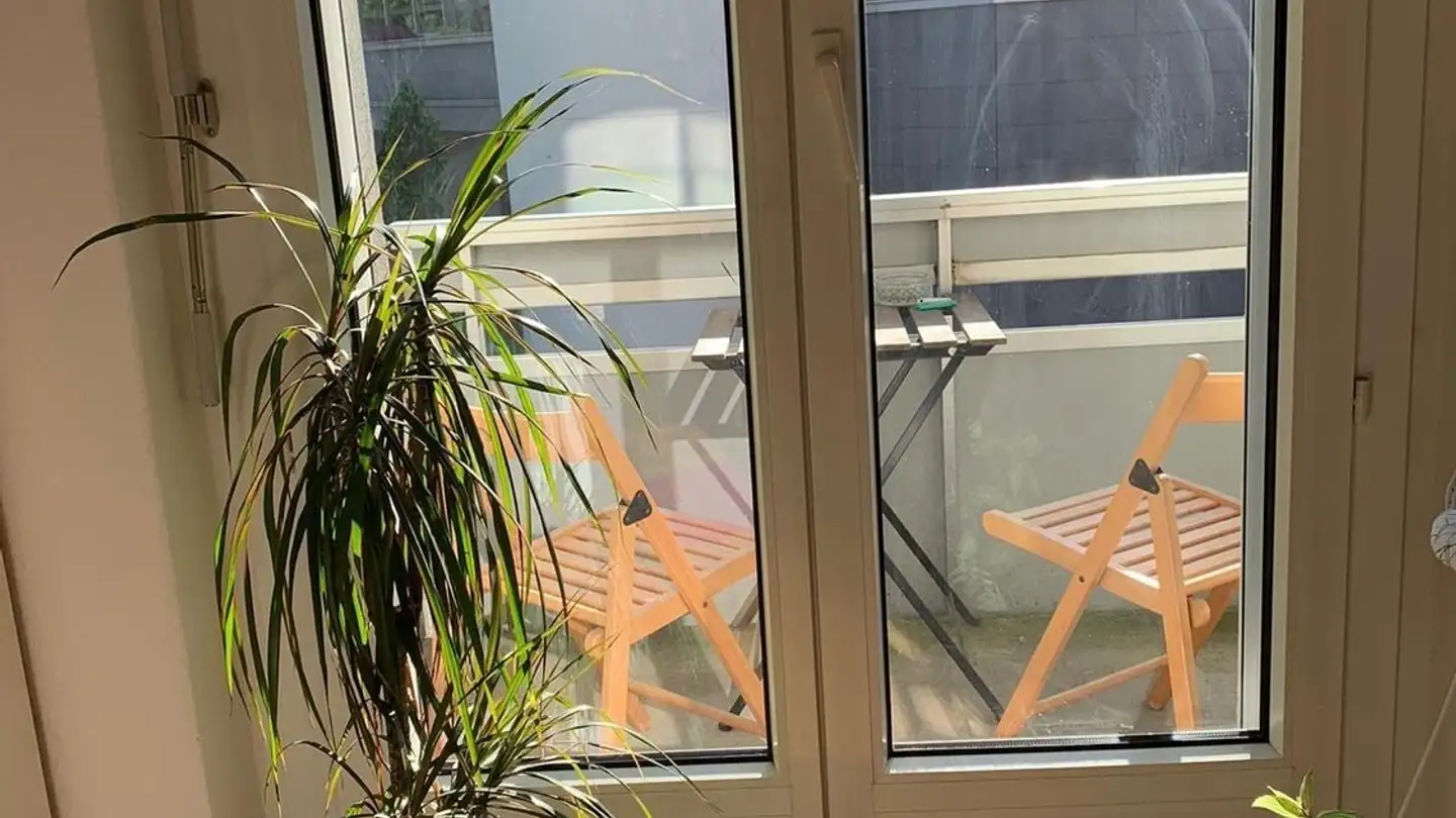 Stanza singola in affitto - Burstwiesenstrasse 19, 8055 Zürich - Foto 4