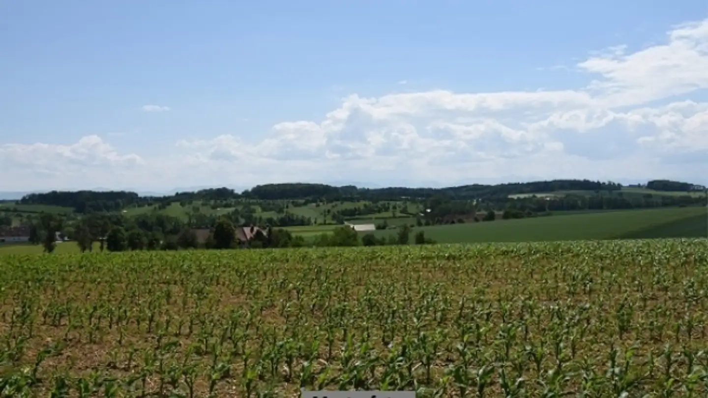 Property for sale - 1239 Collex